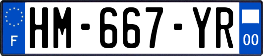 HM-667-YR