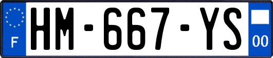 HM-667-YS