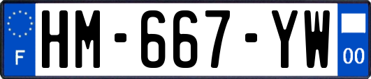 HM-667-YW