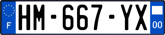 HM-667-YX