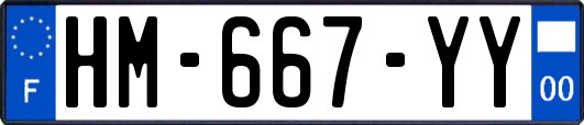 HM-667-YY