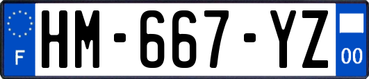 HM-667-YZ