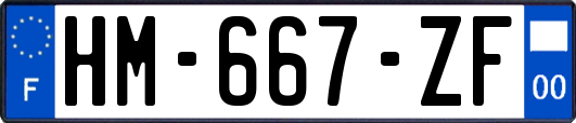 HM-667-ZF