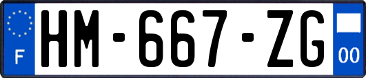 HM-667-ZG