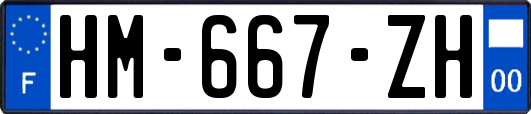 HM-667-ZH