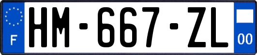 HM-667-ZL