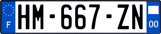 HM-667-ZN