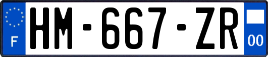 HM-667-ZR