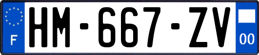 HM-667-ZV