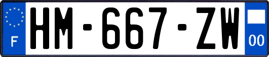 HM-667-ZW