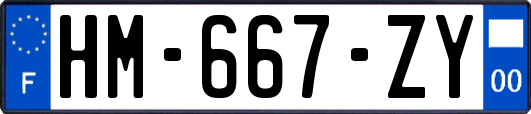 HM-667-ZY