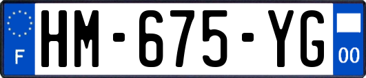 HM-675-YG