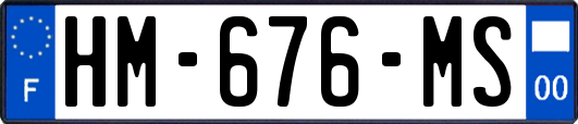 HM-676-MS