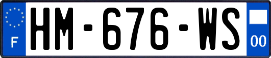 HM-676-WS