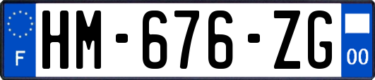 HM-676-ZG
