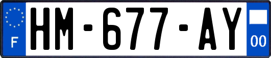 HM-677-AY