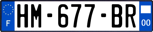 HM-677-BR