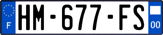 HM-677-FS