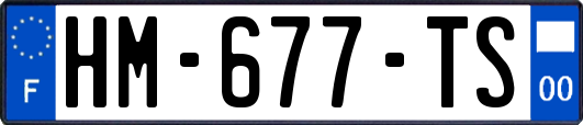 HM-677-TS