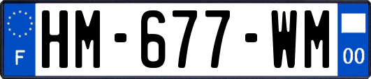 HM-677-WM