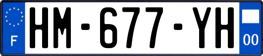 HM-677-YH