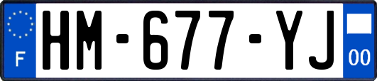 HM-677-YJ