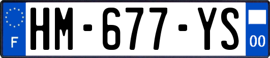 HM-677-YS