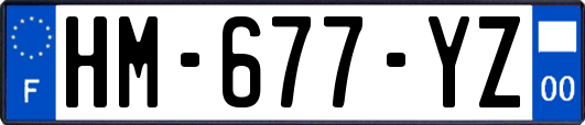 HM-677-YZ