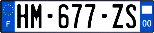 HM-677-ZS