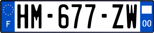 HM-677-ZW