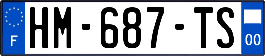 HM-687-TS