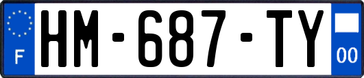 HM-687-TY