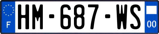 HM-687-WS