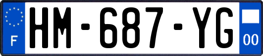 HM-687-YG