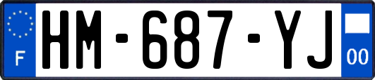 HM-687-YJ