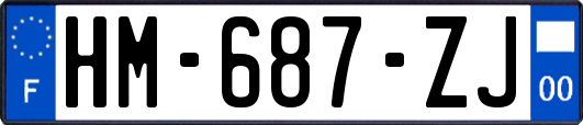 HM-687-ZJ