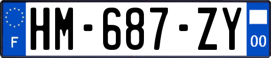 HM-687-ZY