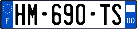 HM-690-TS