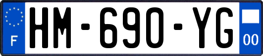 HM-690-YG