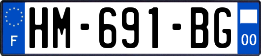 HM-691-BG