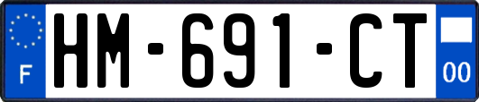 HM-691-CT
