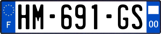 HM-691-GS