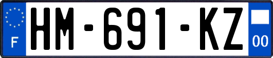 HM-691-KZ
