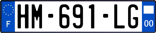 HM-691-LG