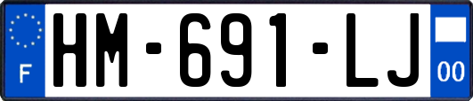HM-691-LJ