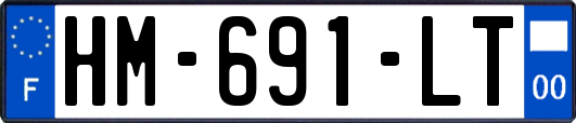 HM-691-LT
