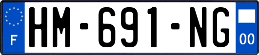 HM-691-NG