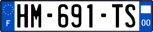 HM-691-TS