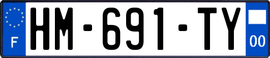 HM-691-TY