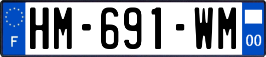 HM-691-WM